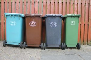 bin 