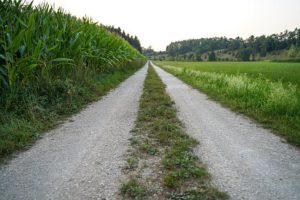 gravel driveway